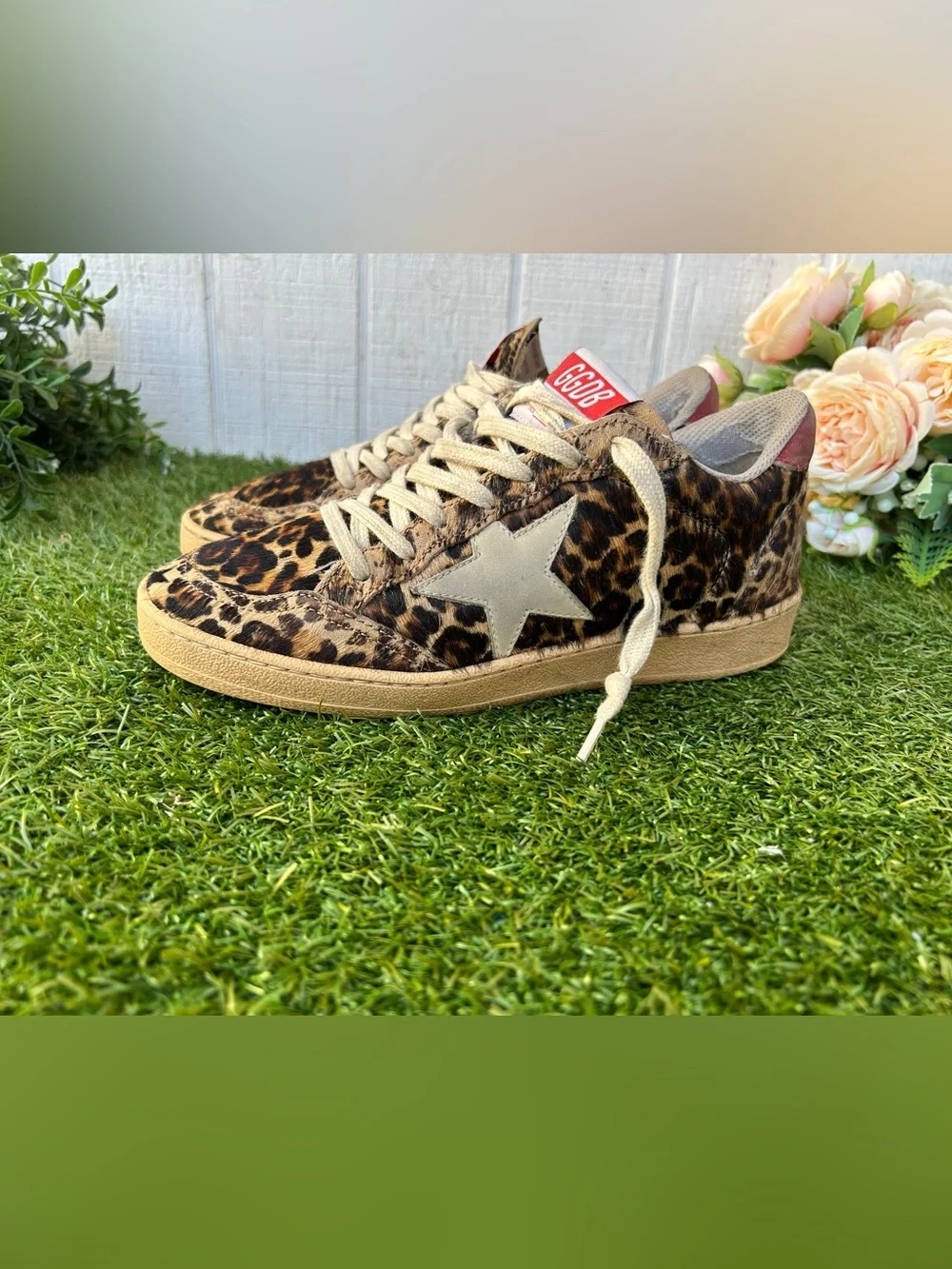 GOLDEN GOOSE Ball Star Leopard Calf Hair Sneakers - Leopard/ Ice/ Red $735 Sz 6